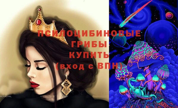 дживик Наволоки