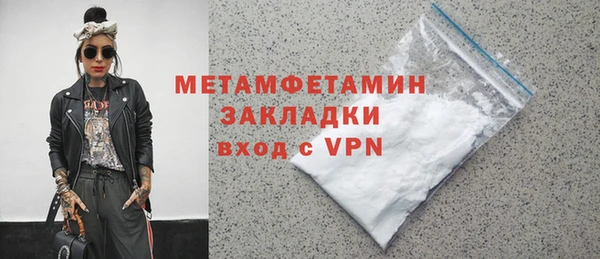 прущие грибы Бердск