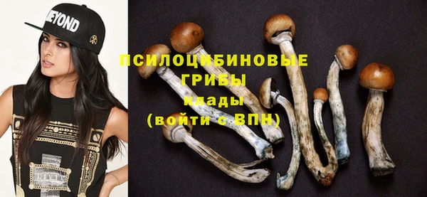 дживик Наволоки