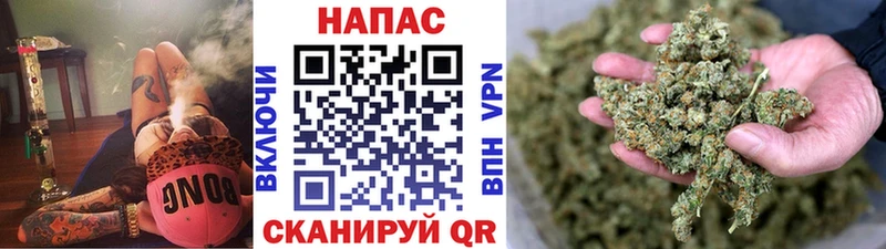 купить наркотики сайты  Полтавская  Бошки Шишки марихуана 